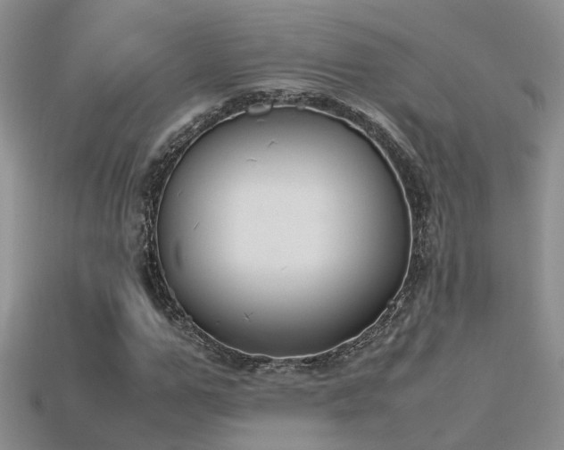 X0000115760967200911131152