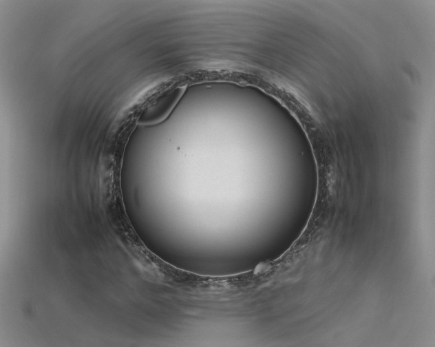 X0000115760968200911131152