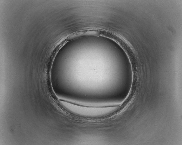 X0000115760969200911131152