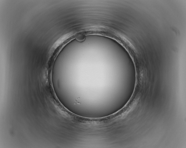 X0000115760970200911131152