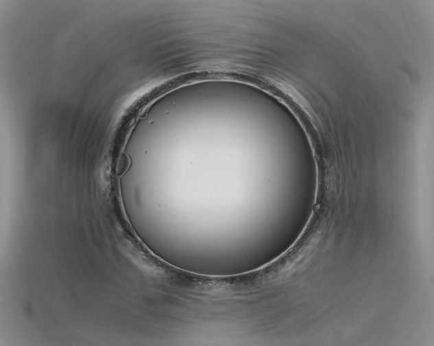 X0000115760971200911131152