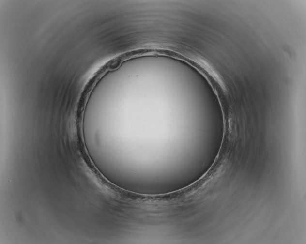 X0000115760972200911131152