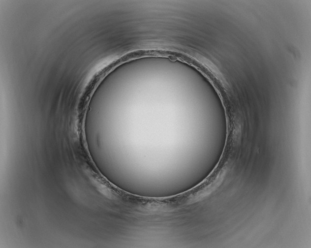 X0000115760974200911131152