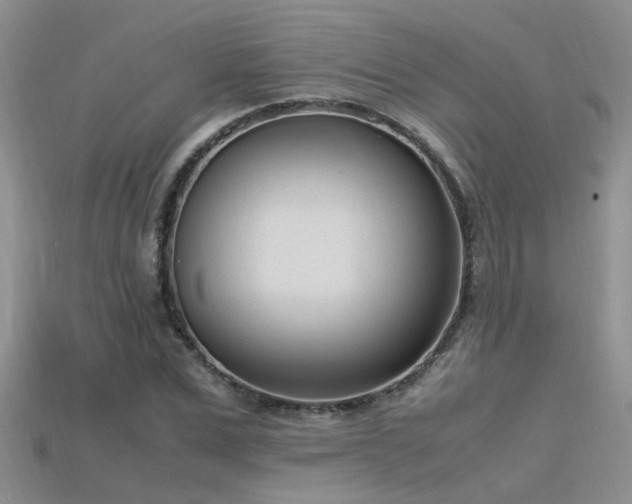 X0000115760975200911131152