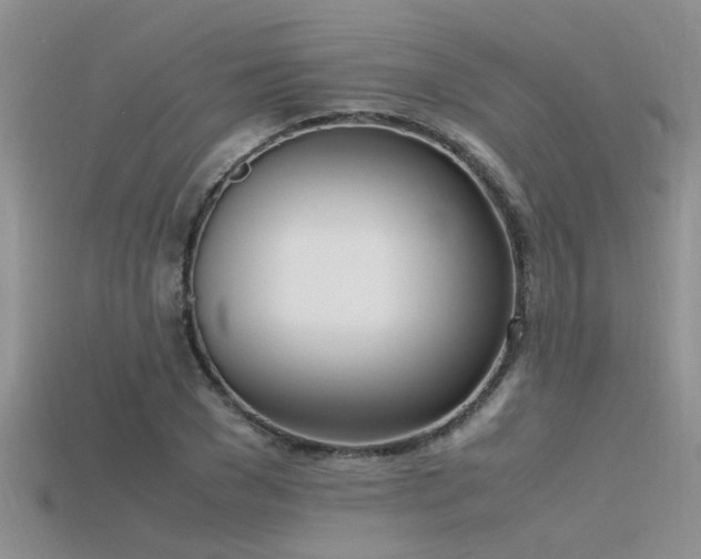 X0000115760977200911131152