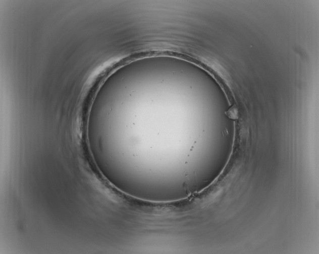 X0000115760979200911131152