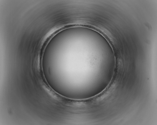 X0000115760982200911131152
