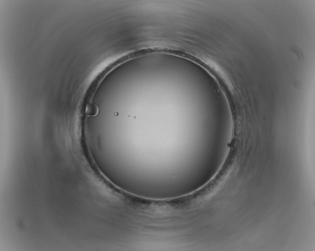 X0000115760983200911131152