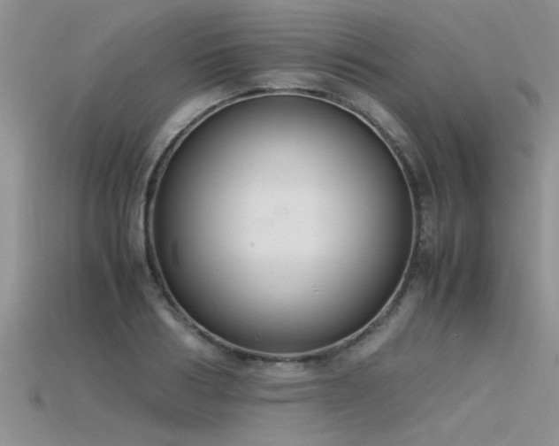 X0000115760986200911131152