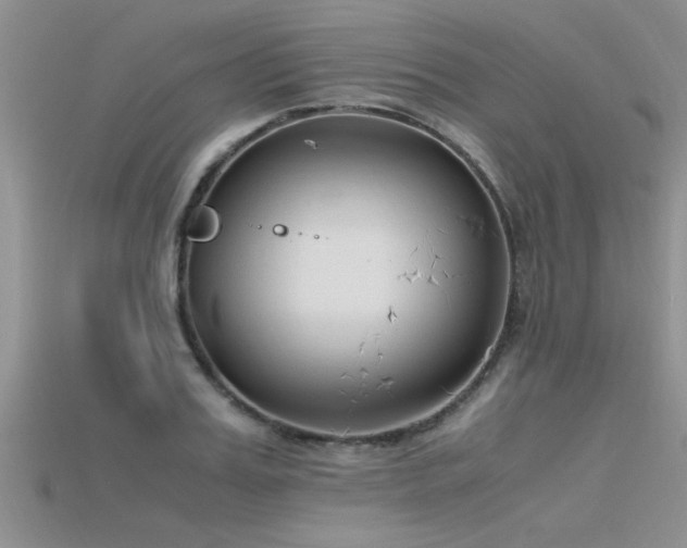 X0000115760987200911131152