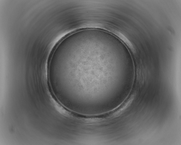 X0000115760988200911131152