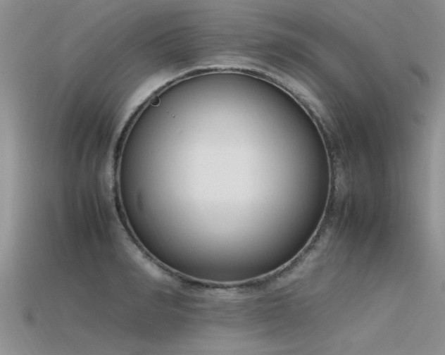 X0000115760990200911131152