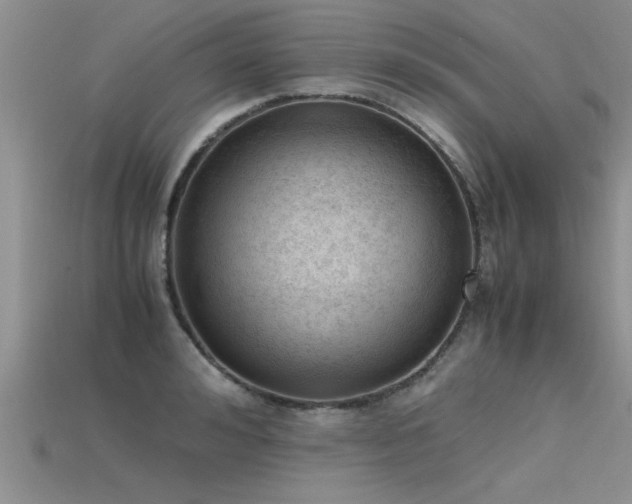 X0000115760992200911131152