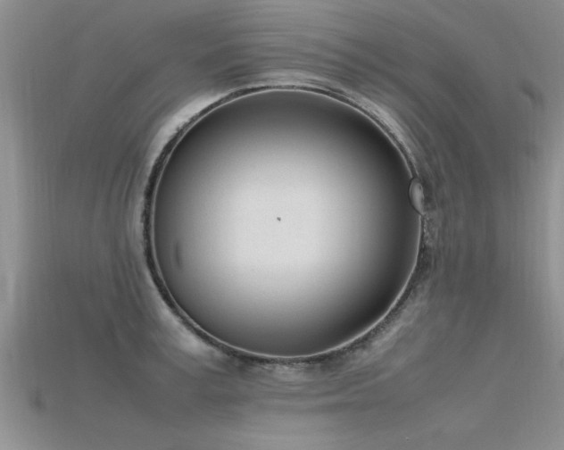 X0000115760995200911131152
