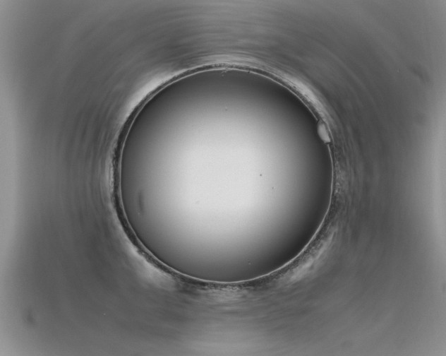 X0000115760999200911131152