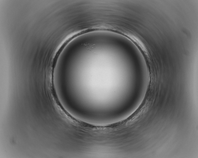 X0000115761000200911131152