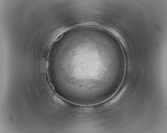 X0000115761001200911131152