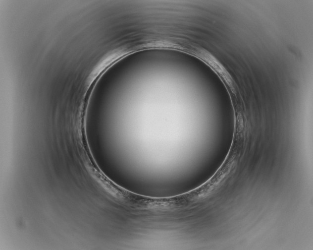 X0000115761002200911131152
