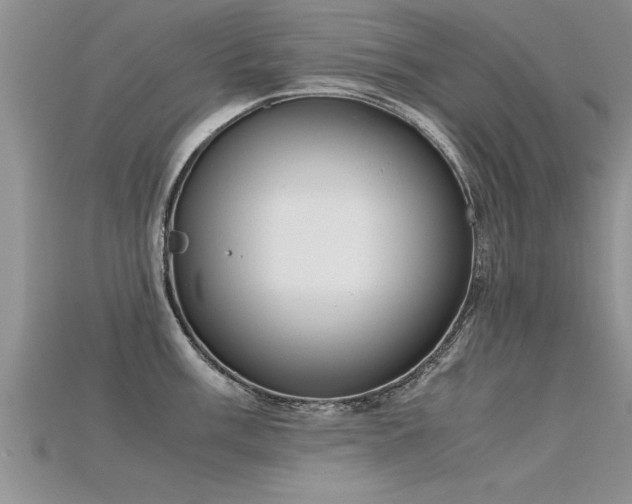 X0000115761003200911131152