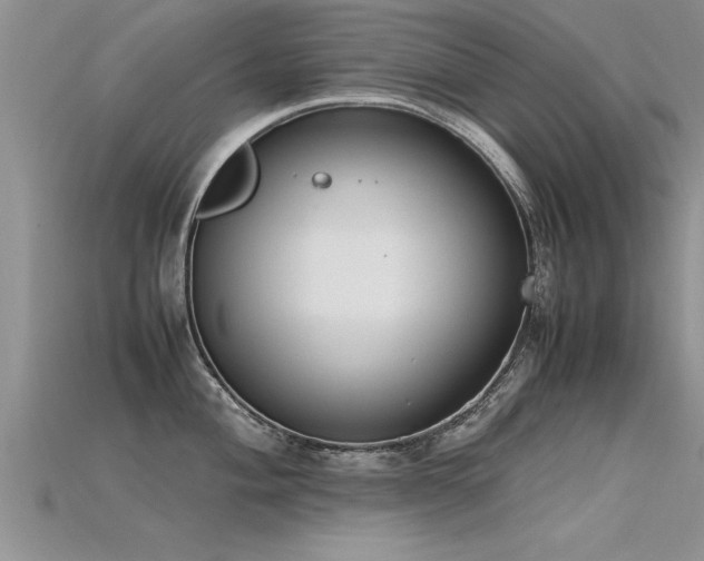 X0000115761004200911131152