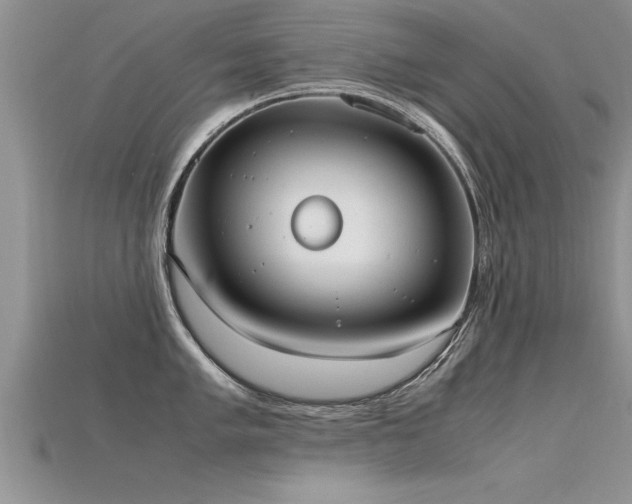 X0000115761005200911131152