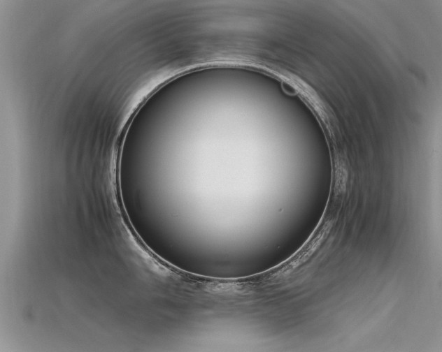 X0000115761006200911131152