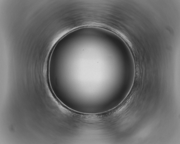 X0000115761007200911131152