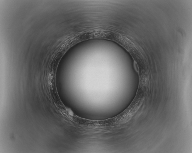X0000115761010200911131151