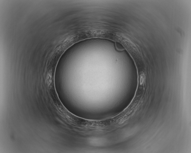 X0000115761011200911131151