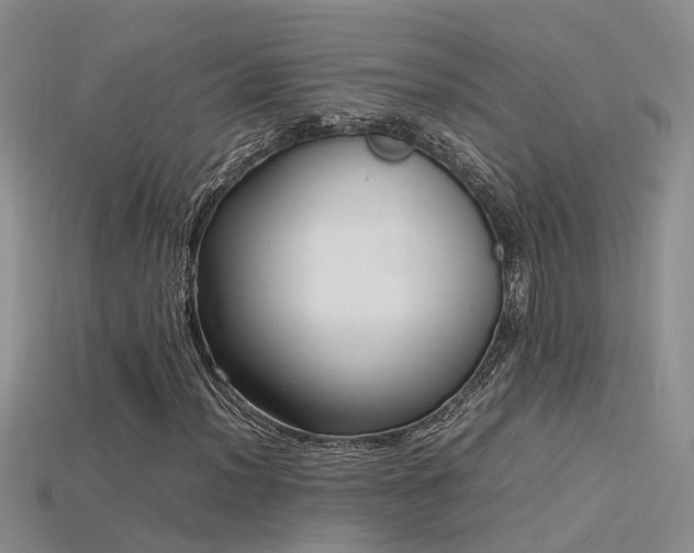 X0000115761012200911131151
