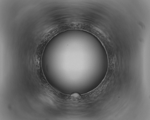 X0000115761013200911131151