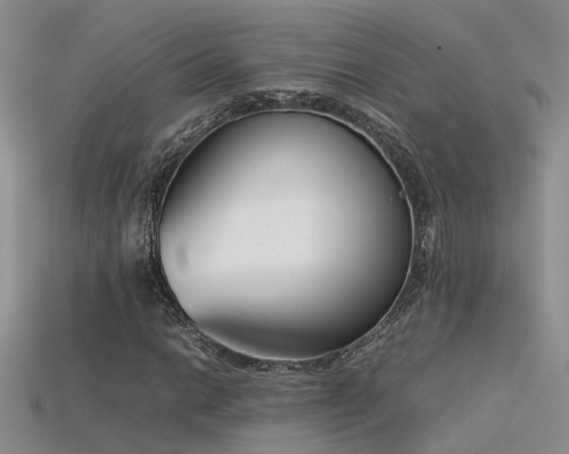 X0000115761014200911131151