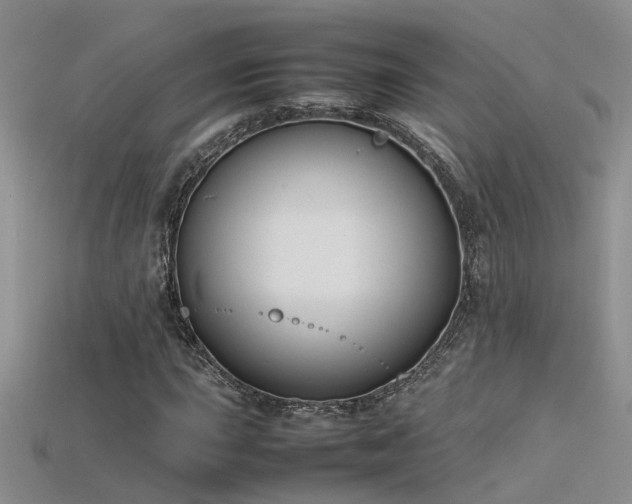 X0000115761015200911131151