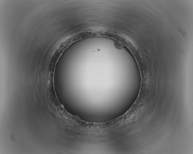X0000115761016200911131151