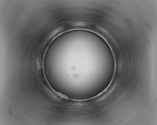 X0000115761017200911131151