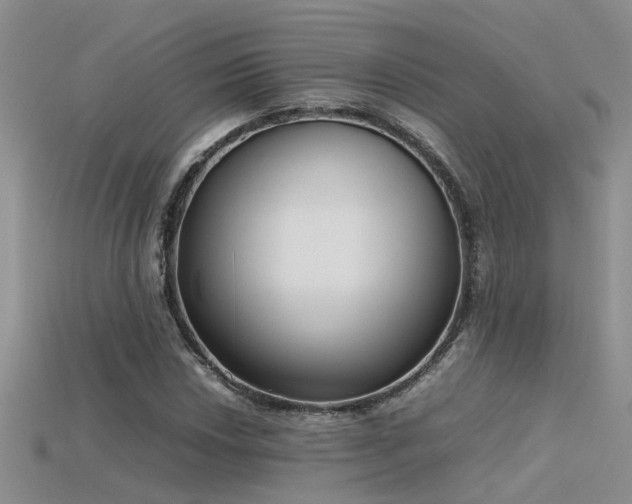 X0000115761018200911131151
