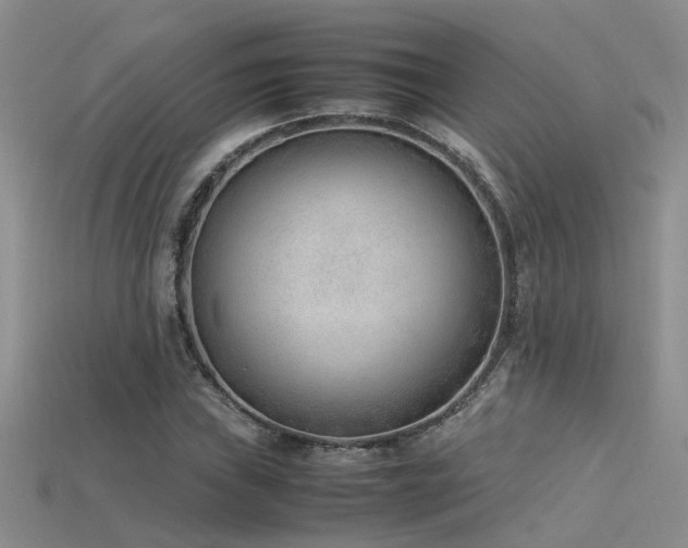 X0000115761019200911131151