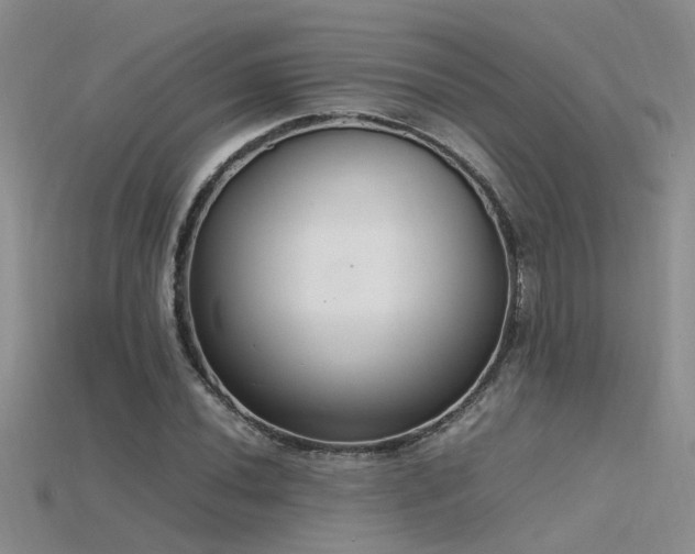 X0000115761020200911131151