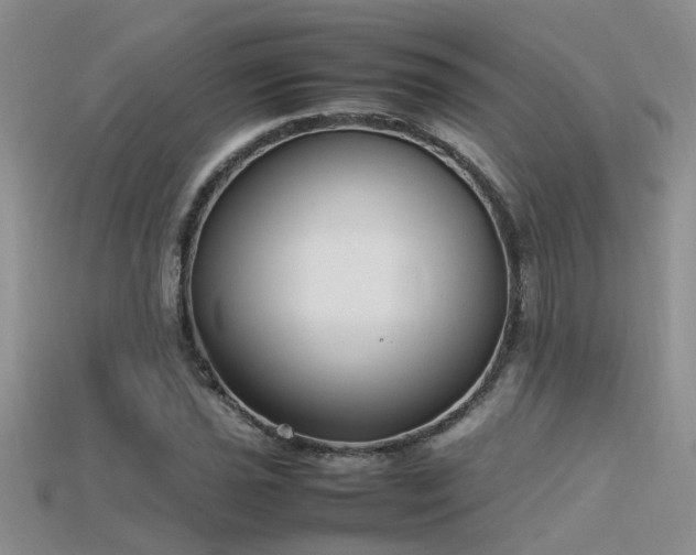 X0000115761021200911131151