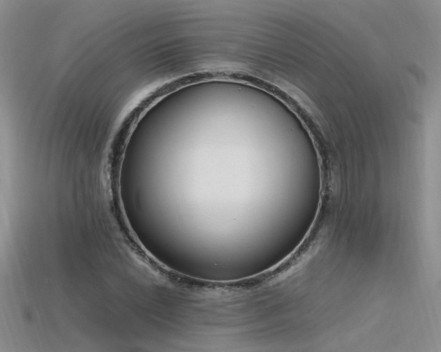 X0000115761022200911131151