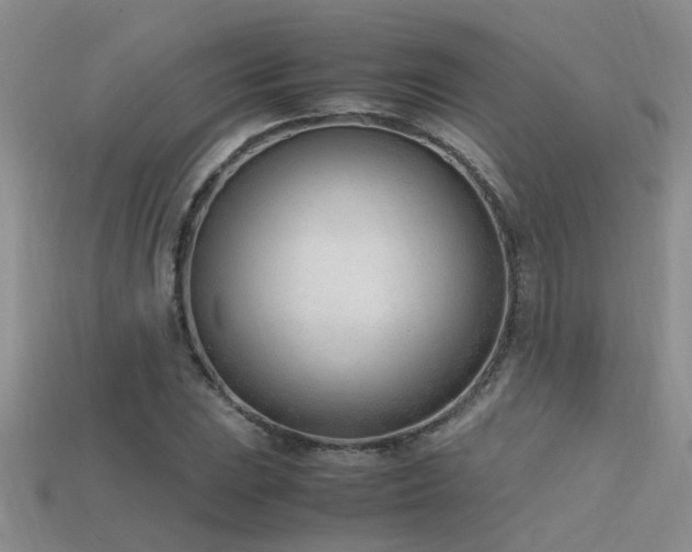 X0000115761023200911131151