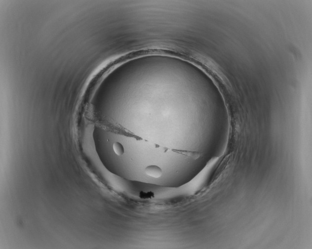 X0000115761024200911131151