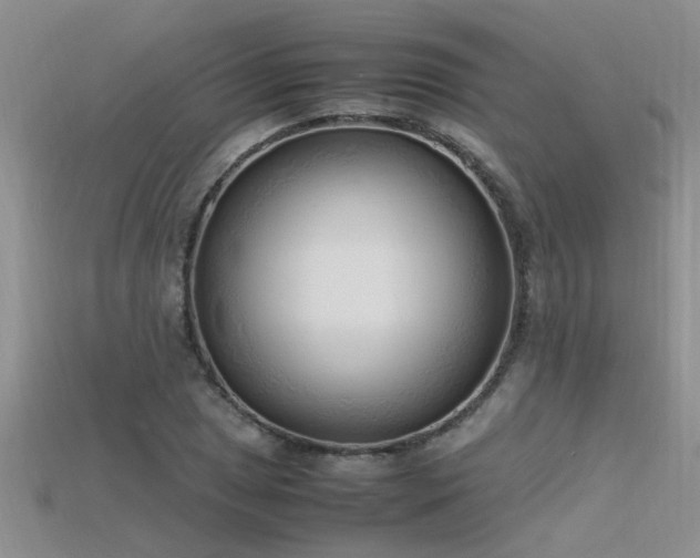X0000115761025200911131151