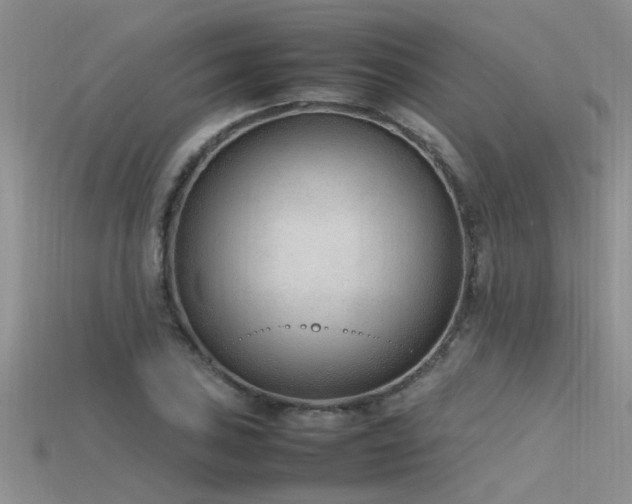 X0000115761027200911131151