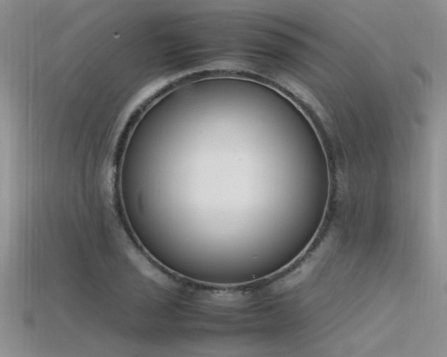 X0000115761029200911131151