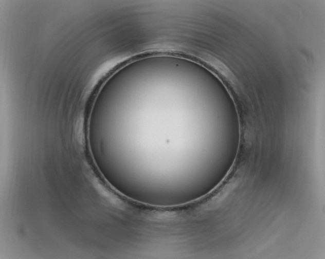 X0000115761030200911131151