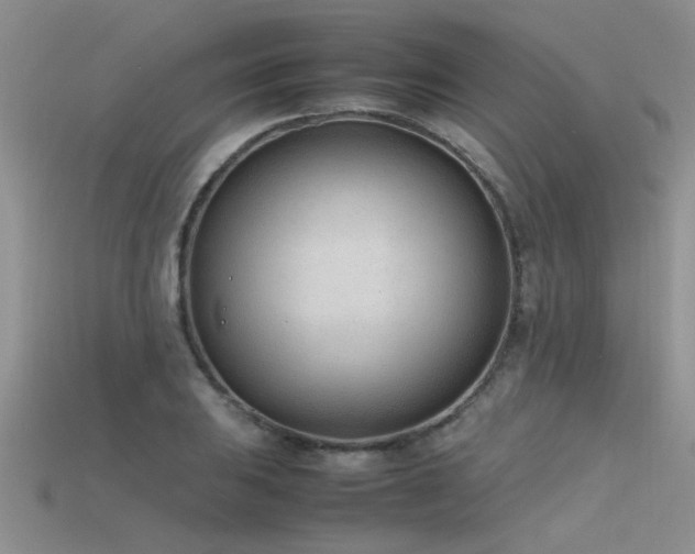 X0000115761031200911131151