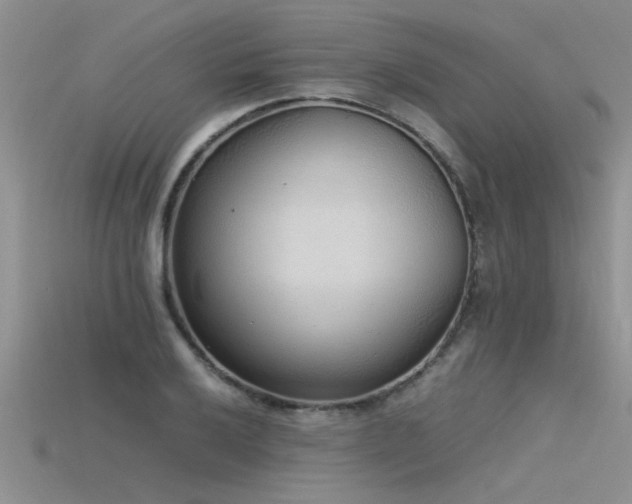 X0000115761032200911131151