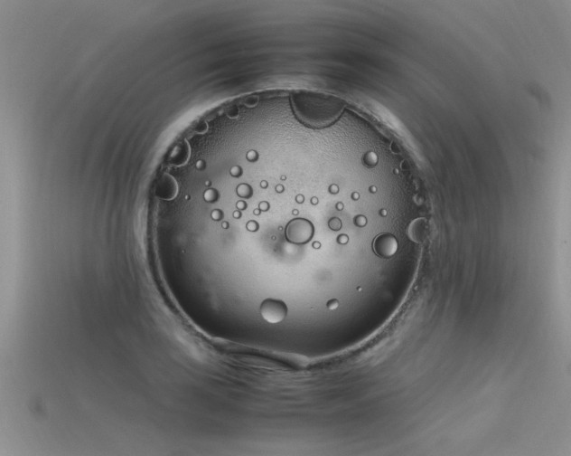 X0000115761035200911131151