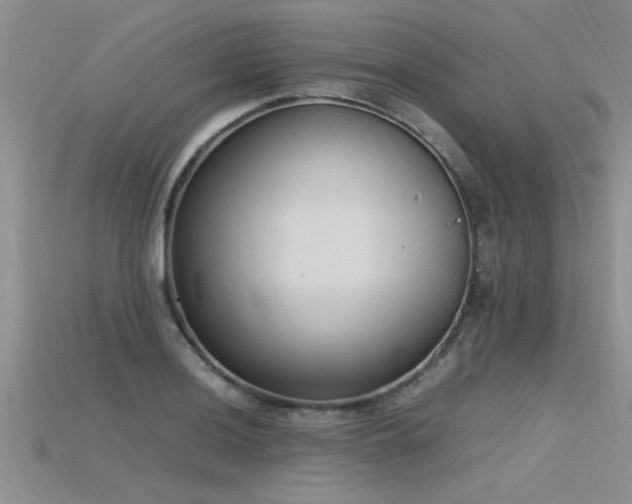 X0000115761036200911131151